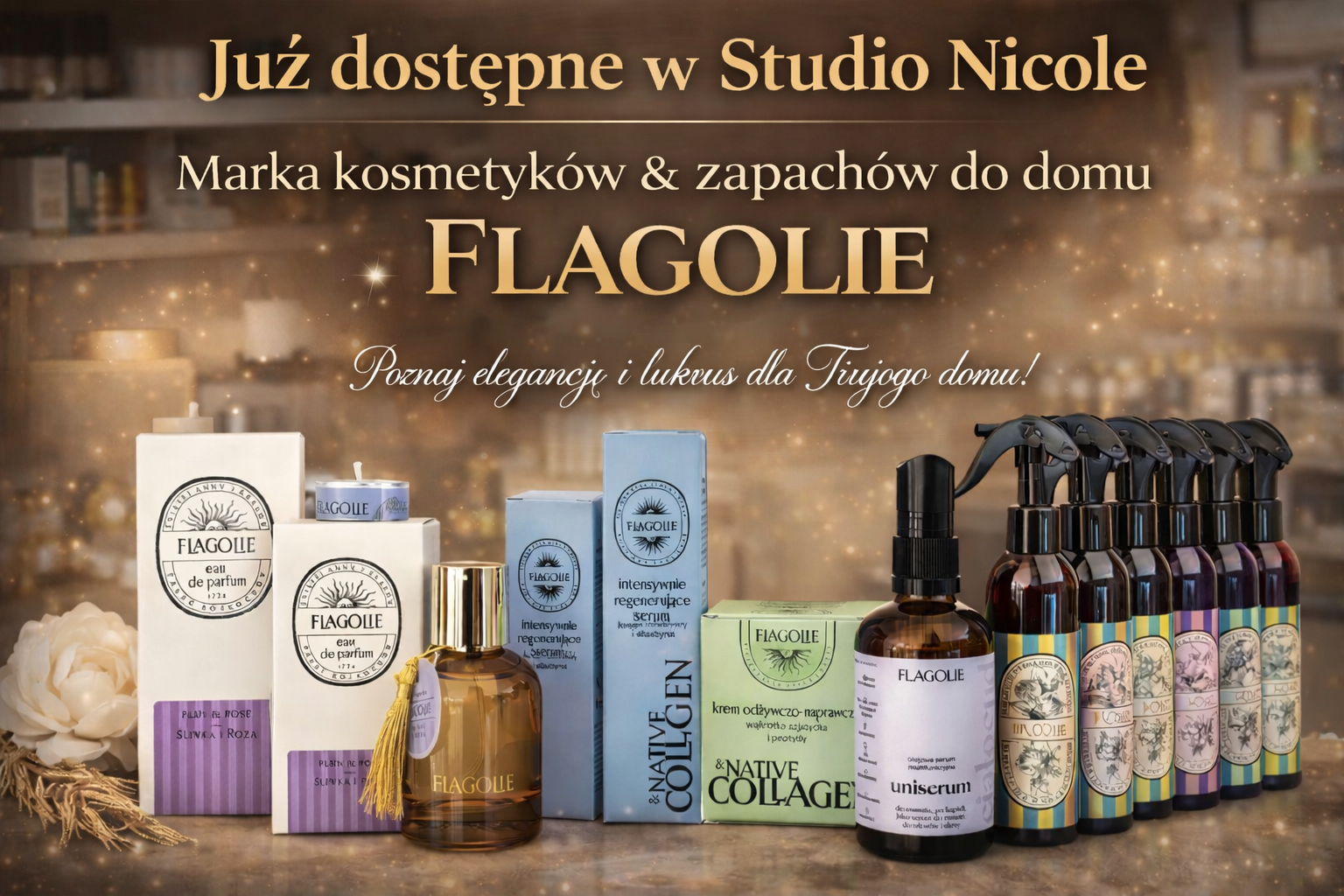 Aktualność Studio Nicole